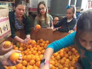 6th-graders sort oranges at the Westside Food Bank to give back. The Westside Food Bank supplies food to the food assistance programs of social service agencies in Santa Monica, Venice, Culver City, West Los Angeles, West Hollywood, Inglewood, and the LAX area. Photo courtesy of Theresa Dahlin.