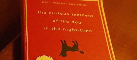 The Curious Incident of the Dog in the Night-time. Source: Wikimedia Commons http://commons.wikimedia.org/wiki/File:The_curious_incident.jpg