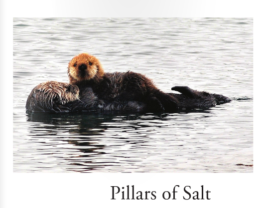 Last springs issue of the Upper School Lit Mag— Pillars of Salt.