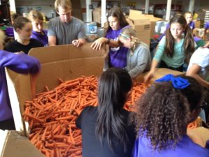 Sixth graders unloaded carrots during their visit to the Westside Food Bank on Nov. 12. Photographer: Theresa Dahlin