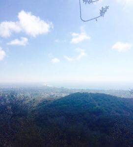 Photo of the view of the Pacific Ocean at the top of the Santa Monica Mountain's Temescal Canyon trail, taken by Helena Heslov '16. 