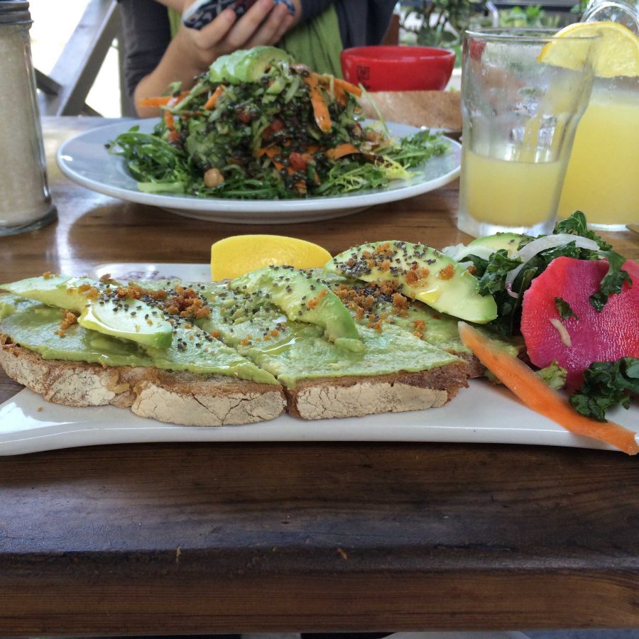 The reporter of this article, Rachel Magnin 15, decided to go vegan for a day to add to her research. Pictured is the Vegan Avocado Tartine from Le Pain Quotidien she ate. Photographer: Rachel Magnin 15