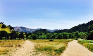 Malibu Creek State Park is a great place to hike because of its scenic views and swimming spots. Photographer: Rachel Magnin '15.