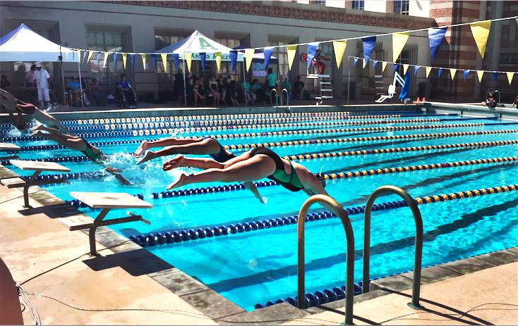 Archer Varsity Swim Team finishes record-breaking season, wins league