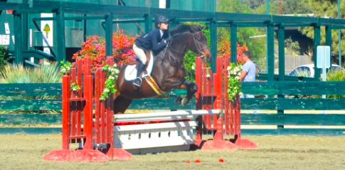 Chloe Davenport takes a jump on her horse. She participates in hunters and equitation.