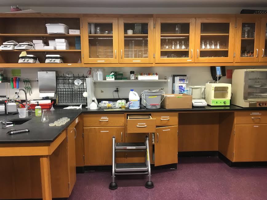 Archer offers an honors research course where girls are given the opportunity to create their own research topic and work on a project throughout the year. Pictured above is the lab in which the honors research students conduct the majority of their research. 