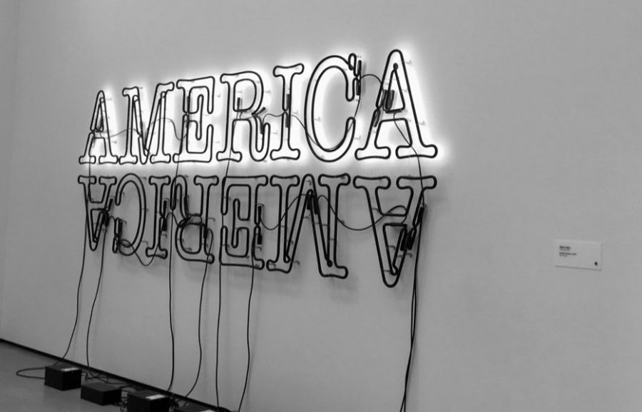 The Double America 2 is once of the most popular installations at the museum. It was created by Glenn Ligon, a contemporary artist from The Bronx.