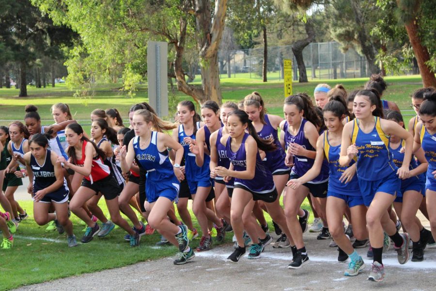 Archer cross country springs during League Finals. While this meet was rough, according to Sara Weitz 18, she found it to be a nice culmination of the season.  