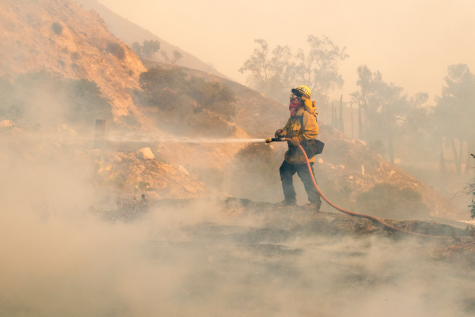 A Los Angeles County Fire Department firefighter battles the Creek Fire on Tuesday. This weeks fires have been especially bad due to extreme Santa Ana winds. Image source: LA County Fire Department.