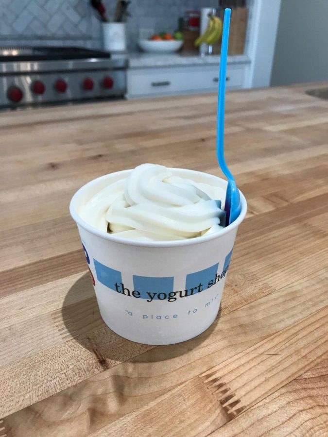 A+cup+of+vanilla+frozen+yogurt+from+The+Yogurt+Shoppe+in+Brentwood.+They+offer+a+15+percent+discount+to+Archer+students+and+neighborhood+merchants.+