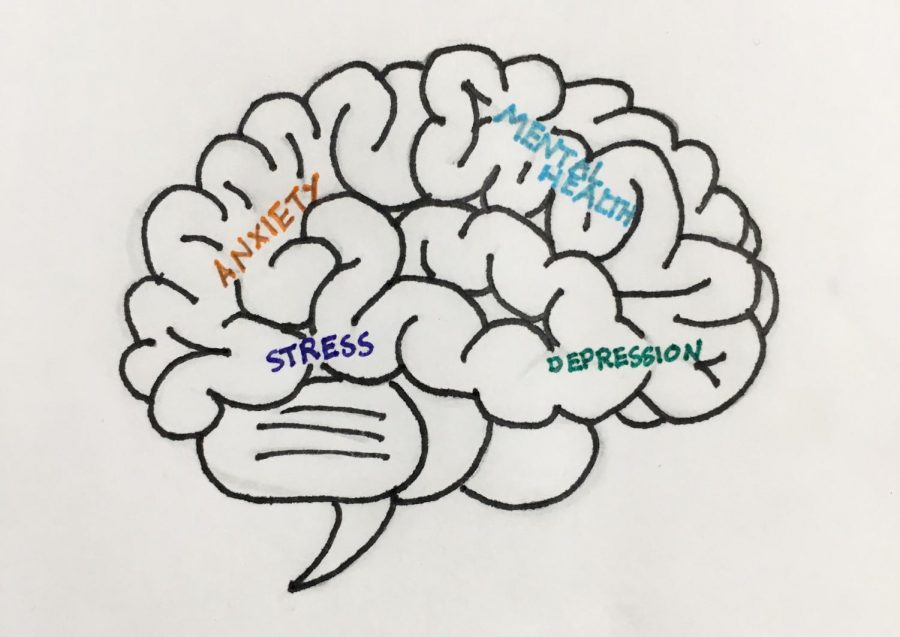 A drawing of the human brain with words that encompass mental health. During her talk with the Mental Health Club, Tara Peris commented on anxiety specifically.  Illustrated by Lucia Barker 18. 