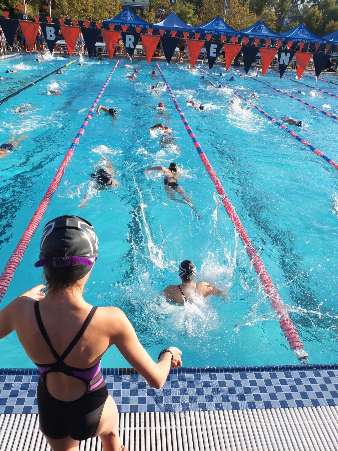 isplash swim school