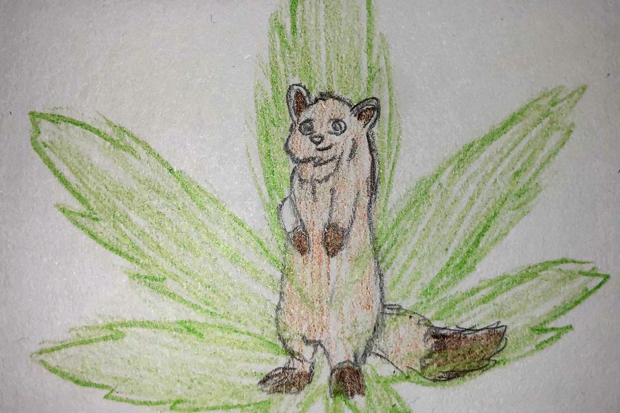 A drawing of a fisher in front of a marijuana leaf by sophomore student-artist Mia Frank illustrates the tension between recreational marijuana and wildlife. Columnist Zoe Bush fears that marijuana growers ability to earn over $1 million annually means its not likely they will give up their harmful chemicals.