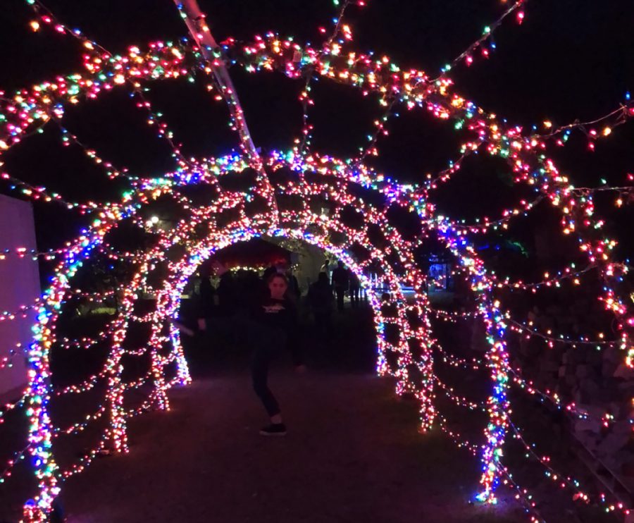 Columnist Grace Wilson frolics through a tunnel of lights at the entrance of the Street Food Cinema. Street Food Cinema was launched in 2012 and has locations from King Gillette Ranch in Malibu to the LA Arboretum in Arcadia. 