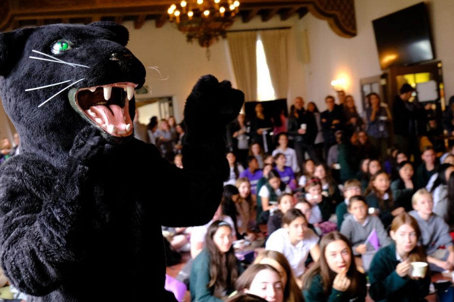 The Archer panther performs at the pep rally held in dining hall. The pep rally was held Nov. 20 for all fall sport athletes.