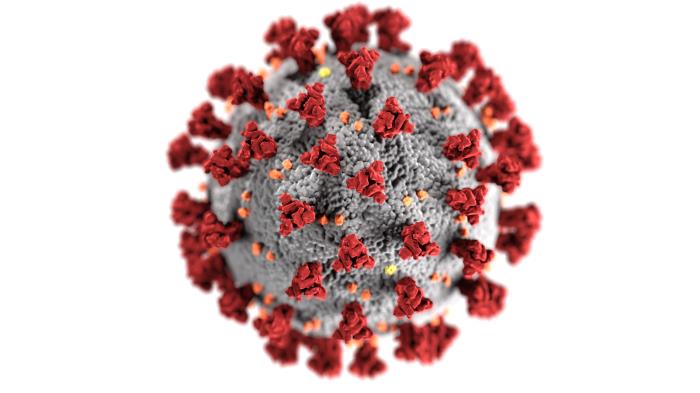 This image posted by the CDC is a magnified picture of the Covid-19 virus. The CDC has officially approved the Pfizer COVID-19 vaccine for individuals five to 11 years old prompting Archer leaders to expand the vaccination requirements to all students.