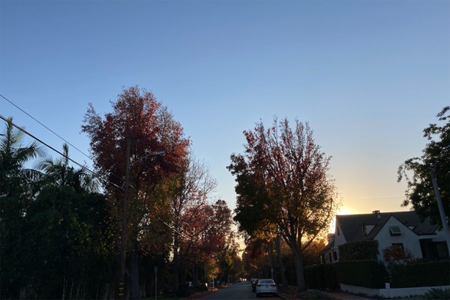 While LA foliage is not as well known as in other parts of the country, the warm weather and clear skies makes for a perfect viewing of the changing colors. Taking a stroll after class is a great way to reduce screen time and appreciate our surrounding nature. 
