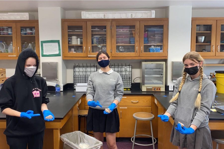 In+senior+Nicole+Farmers+Systems+Biology+%26+Disease+class%2C+her+fellow+senior+classmates+%09%0AMadis+Kennedy%2C+Gabriela+Ayala-Becerra+and+%09%0AIsabella+Ionazzi++dissect+sheep+brains+on+their+second+day+back+to+in-person+learning.+As+Los+Angeles+County+enters+the+orange+tier%2C+more+Archer+students+have+been+permitted+to+return+to+campus+while+also+allowing+those+whod+prefer+to+stay+home+a+hybrid+option+as+well.