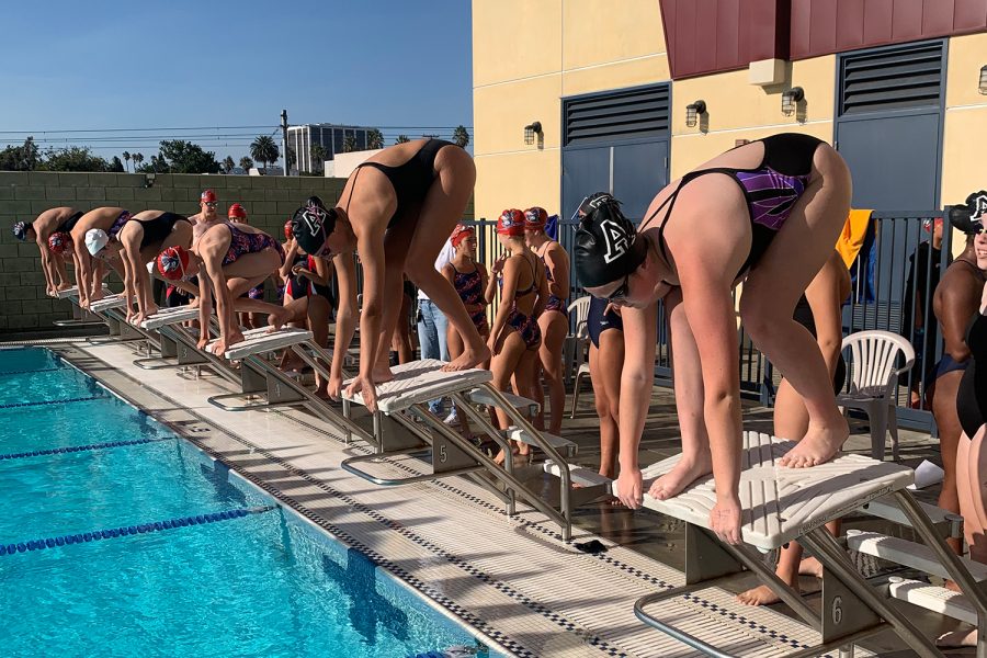 Archer+middle+school+swimmers+assume+their+starting+positions+and+are+ready+to+start+their+first+race.+On+Sept.+30%2C+they+competed+in+their+first+meet+at+Crossroads+against+Brentwood%2C+Crossroads+and+Wildwood.