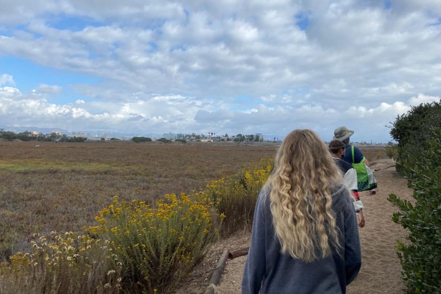 Senior+Emilia+Ramirez+walks+along+the+Ballona+Wetlands+saltwater+marsh+on+her+way+to+collect+data+with+the+water+quality+group.+Senior+Isabella+Specchierla+from+the+plant+composition+group+enjoyed+her+time+at+the+wetlands.+Its+been+amazing%2C+Specchierla+said.+Ive+learned+so+much+about+new+plants+that+Ive+never+seen+before.