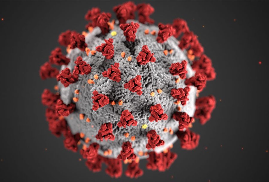 This image posted by the CDC is a magnified picture of the Covid-19 virus. The CDC has officially approved the Pfizer COVID-19 vaccine for individuals five to 11 years old prompting Archer leaders to expand the vaccination requirements to all students.