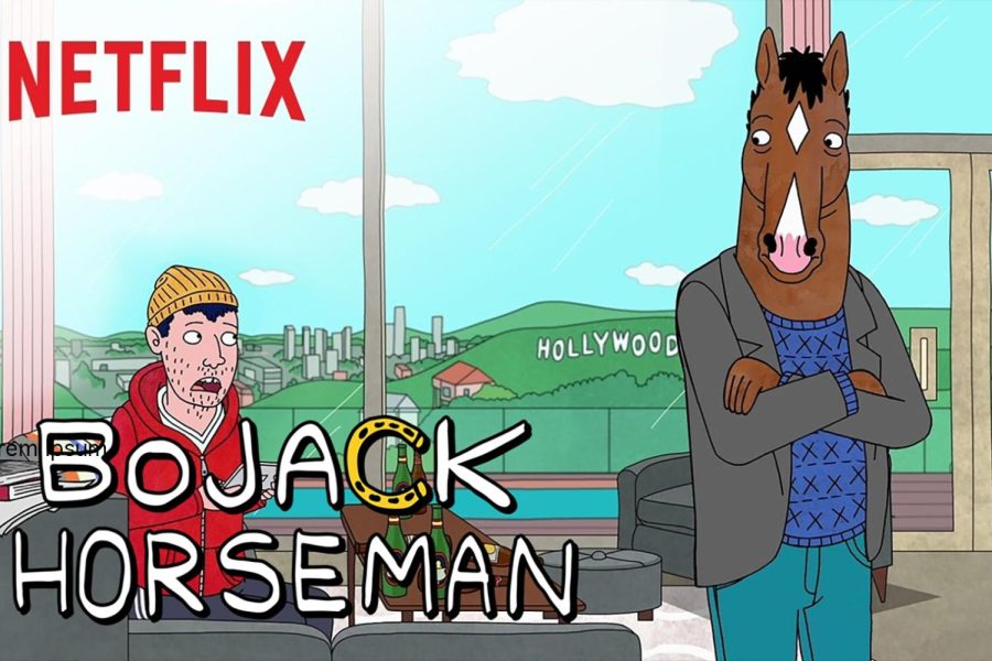 Bojack Horseman is an animated show on Netflix that only features characters with fundamental flaws. When Bojacks ex-girlfriend, an owl named Wanda, breaks up with him, she says that When you look at someone through rose-colored glasses, all the red flags just look like flags.