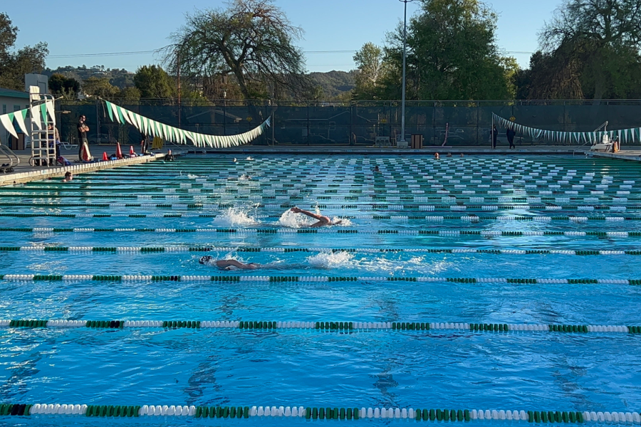 Archers varsity swim team competes in a meet Feb. 24. The team competed in the Liberty League meet, which was held at Van Nuys Sherman Oaks Pool. A lot of us are really really good swimmers so we did really well in the meet and that was fun, junior Paulina DePaulo said.