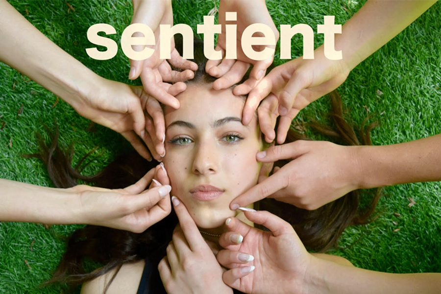 Junior Georgia Ehrlich sits with many hands around her face, which highlights the experiences and feelings humans share. Ehrlich’s show “Sentinent” will be shown Wednesday, June 8, at the Electric Lodge Theater. 