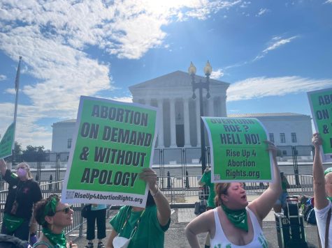Activists protest outside of the Supreme Court ahead of the decision to overturn Roe V. Wade. The Supreme Courts precedent prompted many states to restrict and ban abortion access.