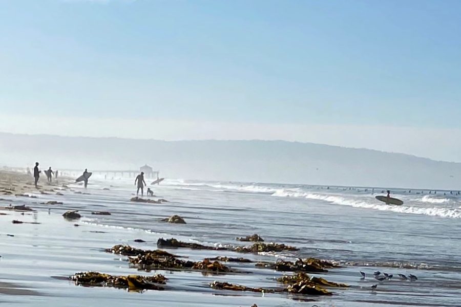 Team+members+prepare+to+surf+during+a+Sunday+morning+practice.+Archer%E2%80%99s+first+surf+team+practices+at+a+variety+of+different+beaches+throughout+Los+Angeles%2C+Malibu+and+Ventura+County.