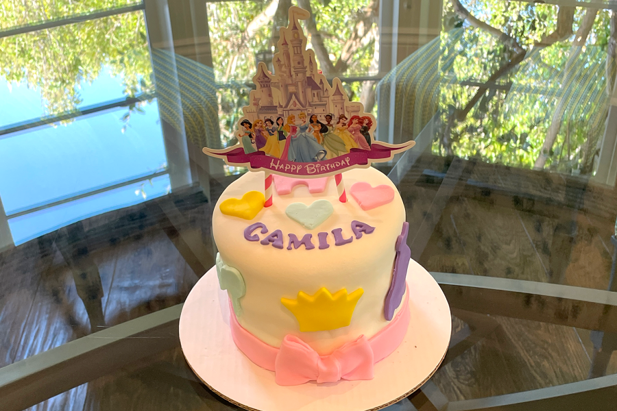 This image features a vanilla Disney-themed birthday cake I made for a 3-year-old girl during the summer of 2022. Volunteering for the organization For Goodness Cakes for over two years, now, has allowed me to see the immensely positive impact even small actions like baking a cake can have on a persons life.