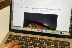 The Ologies episode P22: Life and Death of an LA Cougar plays on Columnist Eliza Tiles computer. The episode was released shortly following the death of P-22 a cougar who called LAs Griffith Park Home. 