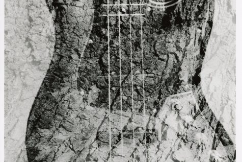 “Earth Guitar” depicts Woolenberg’s favorite guitar in her home that has butterflies on it. Woolenbergs photograph demonstrates her theme of “sandwiching negatives, and it won an Honorable Mention.