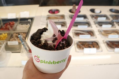 I hold my dessert from Pinkberry: a large pomegranate and tart swirl with cookies and cream and chocolate chips on top. Upon the first bite I knew this would be my new favorite dessert place.