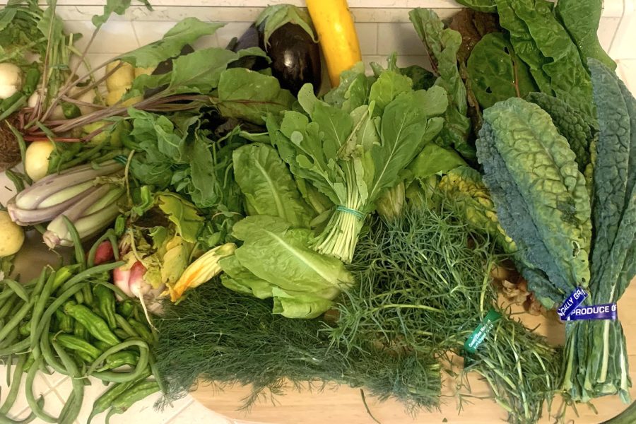 A variety of produce from a Community Supported Agriculture delivery box is pictured. CSA boxes were a staple in my family’s life a year ago, as they provided fresh produce from farms directly to customers’ homes.