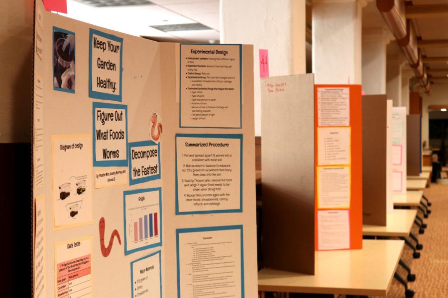 Middle schoolers Lil SIS projects are displayed on vibrant posters, which are lined up in the library. Archer recently had their 10th annual Lil SIS May 10, and sixth graders said they enjoyed learning how to use the scientific method while practicing group work. 