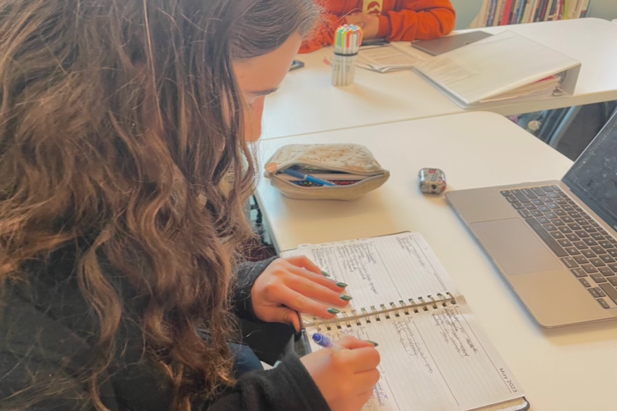 Freshman Olivia Hallinan-Gan fills out her crowded planner for the week. According to writer Jennifer Wallace, high achievement culture is harmful to teens because it adds to the pressure to succeed and can make students feel like they are not good enough.