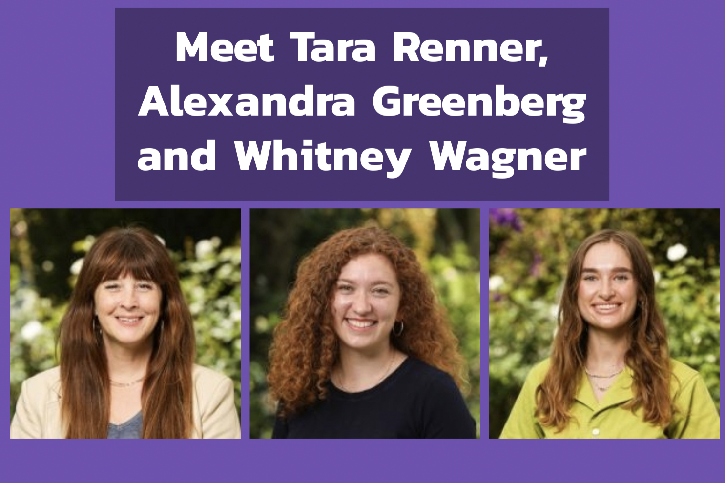 Three faculty and staff school pictures feature science teacher Tara Renner, English teacher Alexandra Greenberg and history teaching apprentice Whitney Wagner. The Oracle held a Q&A with Renner, Greenberg and Wagner to ask them about their first few weeks at Archer and initial feelings surrounding the 2023-24 school year. (Photos by Ultimate Exposures and Graphic Illustration by Zoe Gazzuolo)
