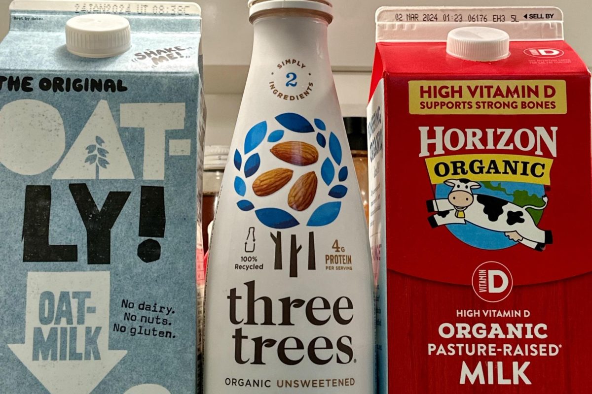 Oatmilk, almond milk and cows milk are shown next to each other in a refrigerator. While alternative milk does have certain health benefits, unfortified beverages lack the levels of calcium found in cows milk. Junior Ivy Woolenberg said she consumes almond and oat milk on a daily basis with her coffee. 
