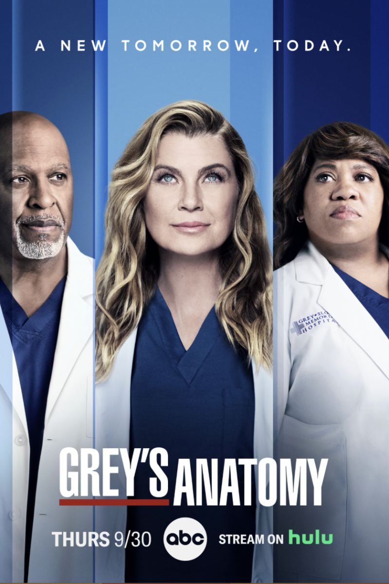 #6 - "Grey's Anatomy"
