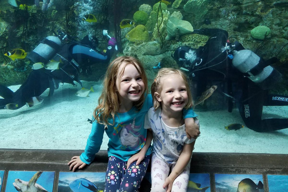 My sister and I went to the Aquarium of the Pacific when we were younger. Entering an aquarium can feel like entering a new world. With the wondrous sea creatures and the unique habitats, there’s always more to explore. Photo by Lara Burnap. 
