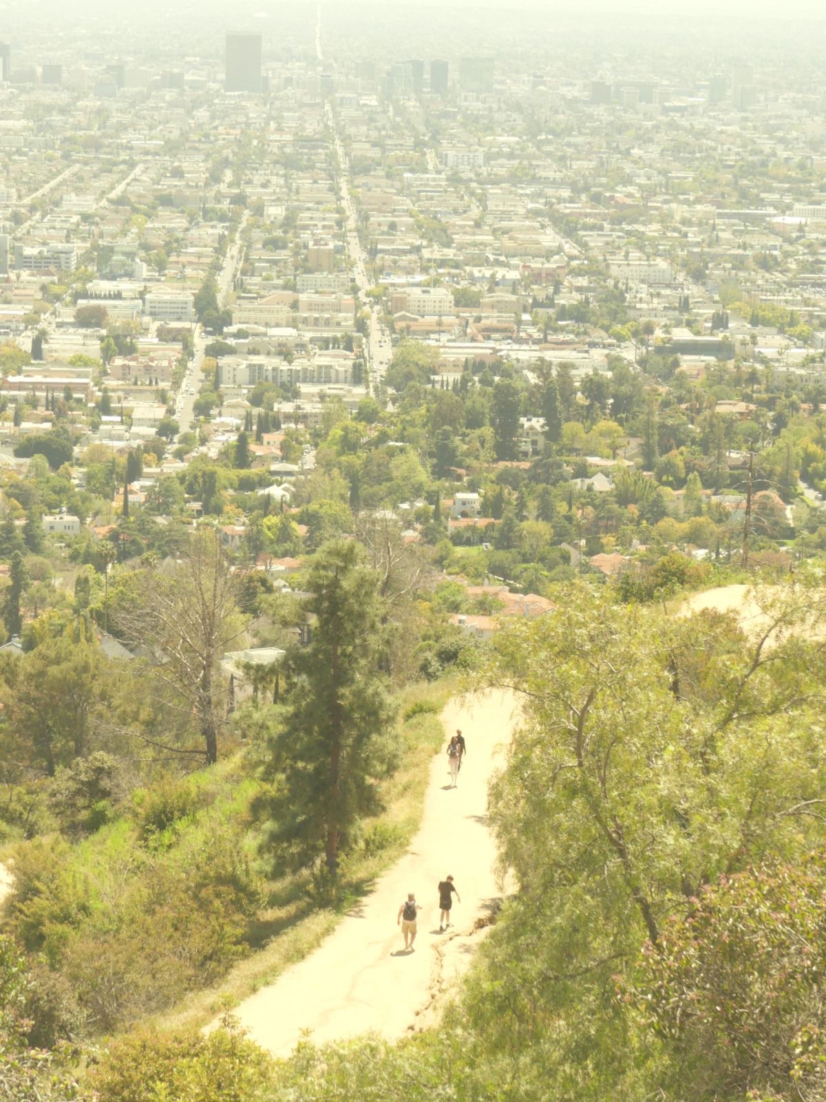 Hikers walk along the Griffith Park Observatory trail. The trail overlooks Los Angeles and is a great location to visit on a trip to L.A. Photo by Mika Drori. 