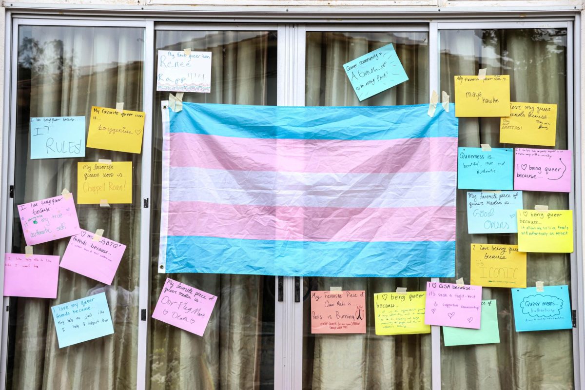 Posters hang on the Rose Room window, centering around the transgender flag. Students were able to write an answer to a prompt on the posters about the different aspects of being queer. One of the posters read, I love my queer friends because... they help me just like I help and support them.