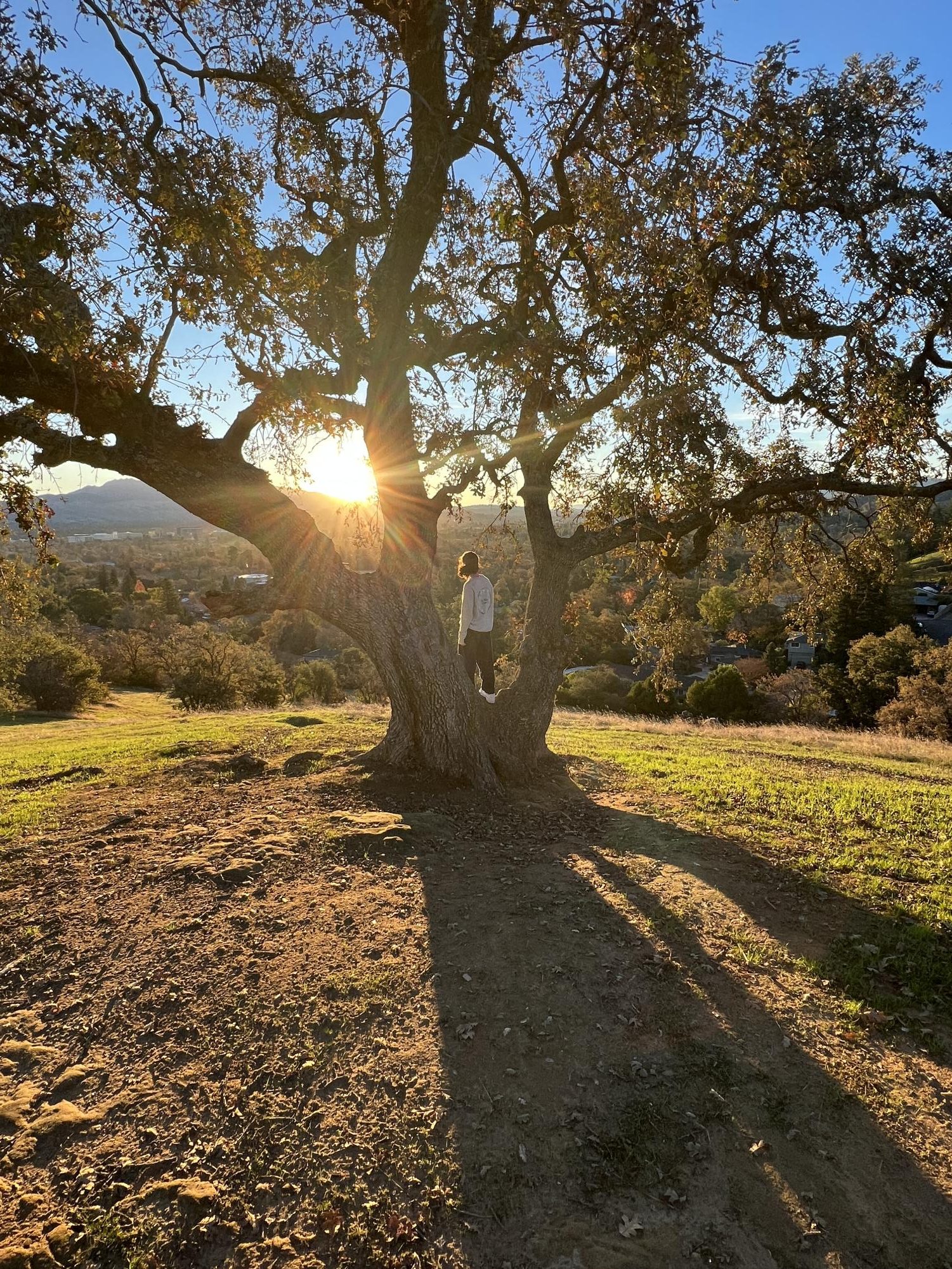 My sister climbs a tree we discovered on one of our morning hikes. Even in colder weather, exploring nature can inspire gratitude and spiritual reflection, from venturing through national park forests to taking impromptu walks on the beach.