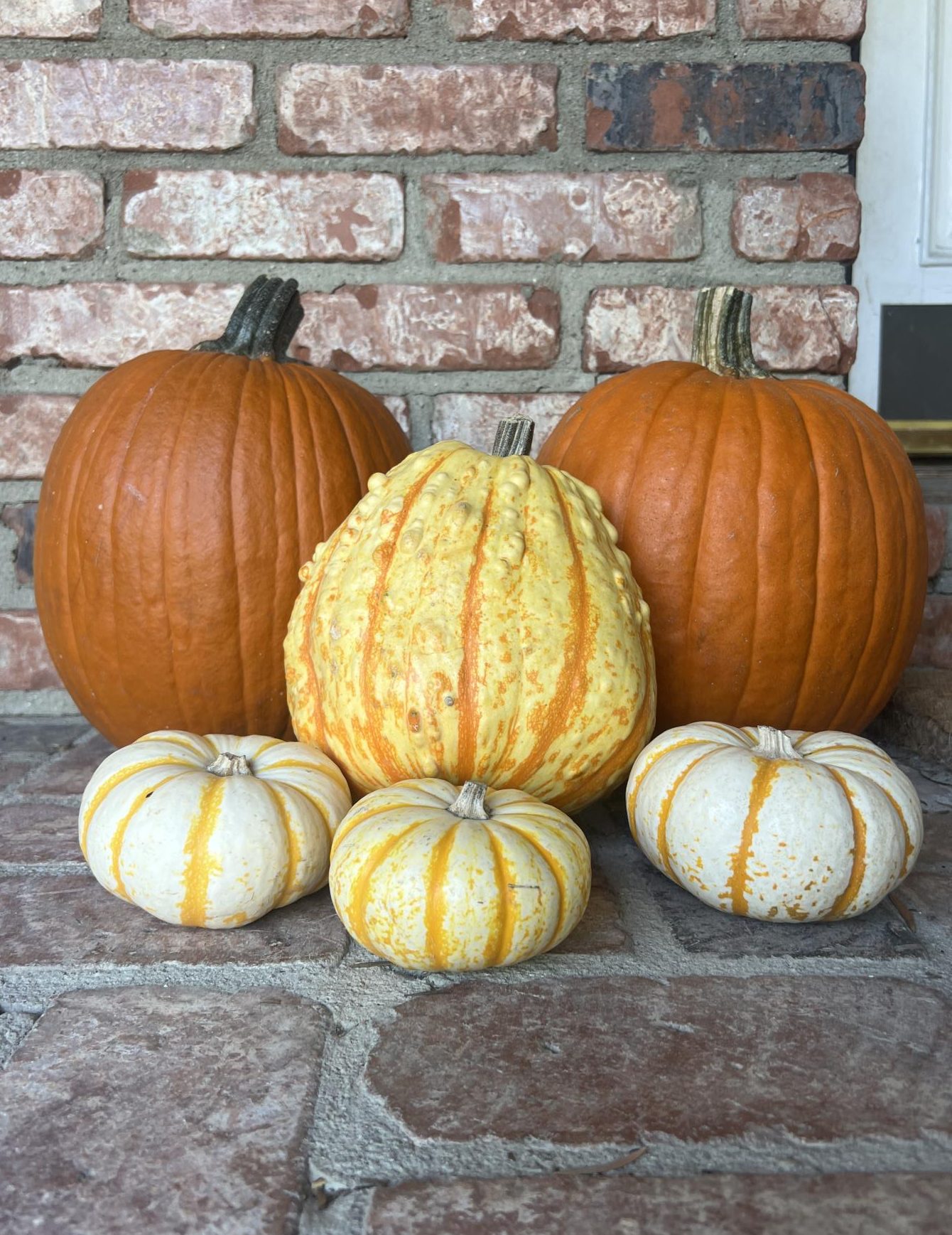 An array of festive pumpkins adorn a front doorstep. As the mascot of the autumn season, pumpkins are the perfect natural decoration, colorful gourds by day and jack-o-laterns by night.