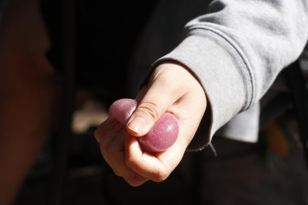 Junior Lauren Ho grasps a stress ball in her hand. With the recent popularization of fidget toys, such as the Nee-Doh cube, stress toys have begun making a comeback among students at Archer. 