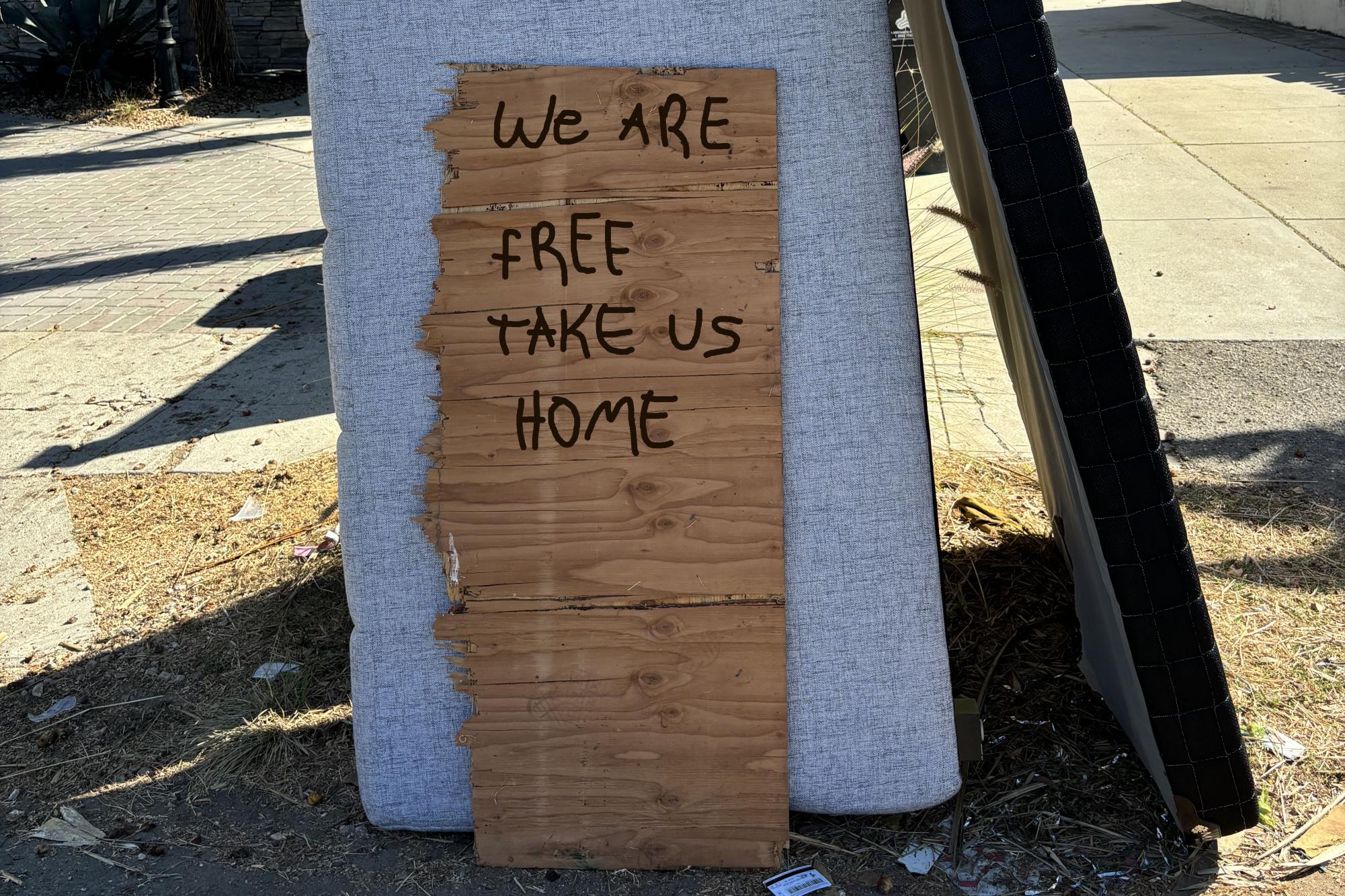 A plywood sign states “we are free take us home” in front of a used mattress sitting on the sidewalk. Unwanted furniture is often abandoned outside for free.