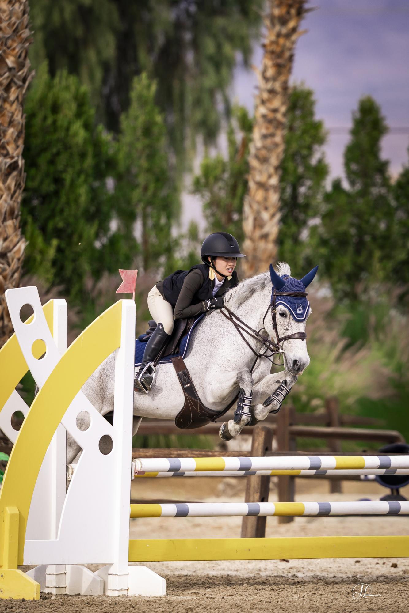 Sophmore Camille Chi jumps over a 2-foot-by-3-foot jump at a recent scholastic competition. Chi said that she has a very special bond with her New Forest pony, Funny. "He's done everything for me," Chi said, "and I would do anything for him."  (Photo Courtesy of Camille Chi)