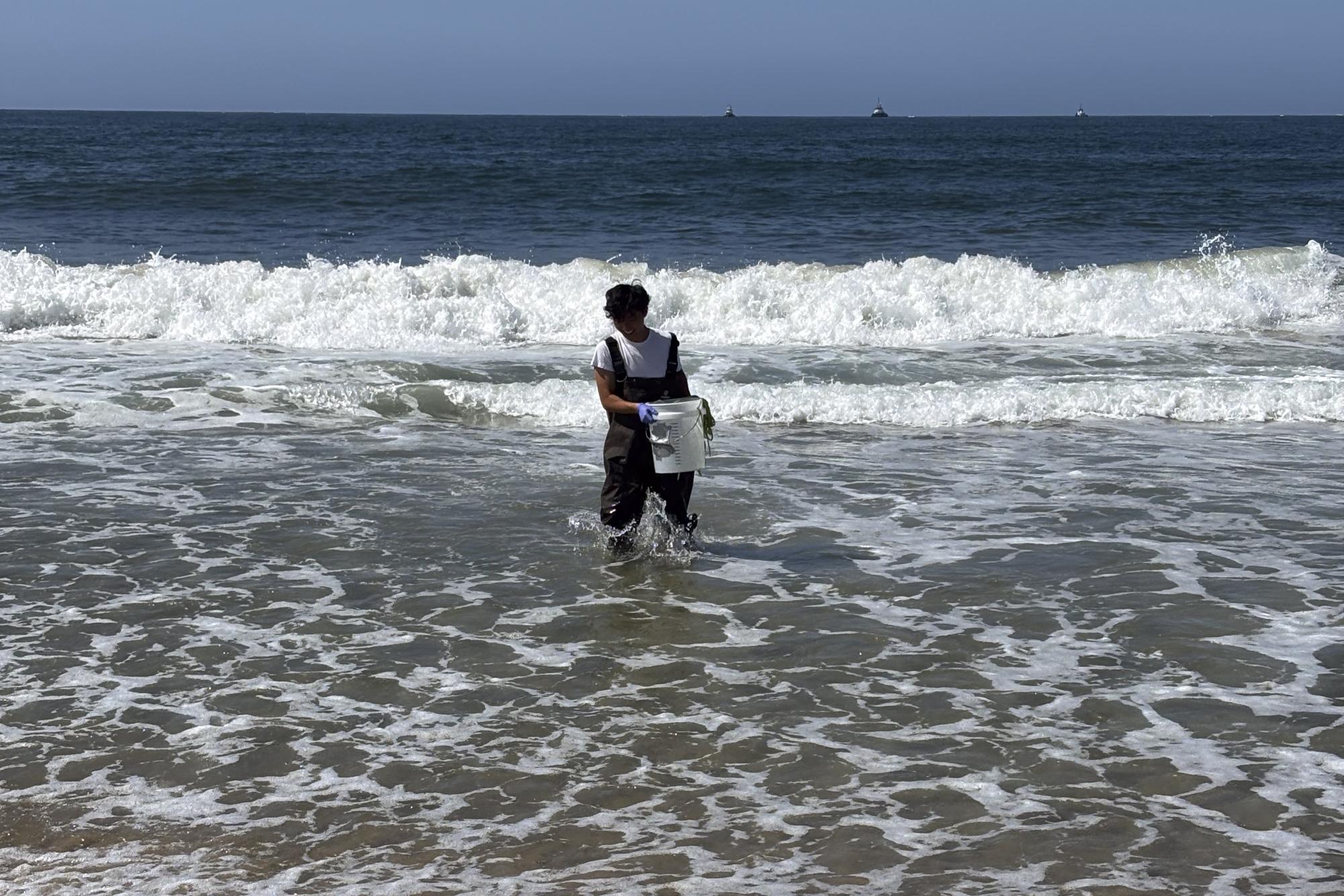'The ocean is pretty resilient'