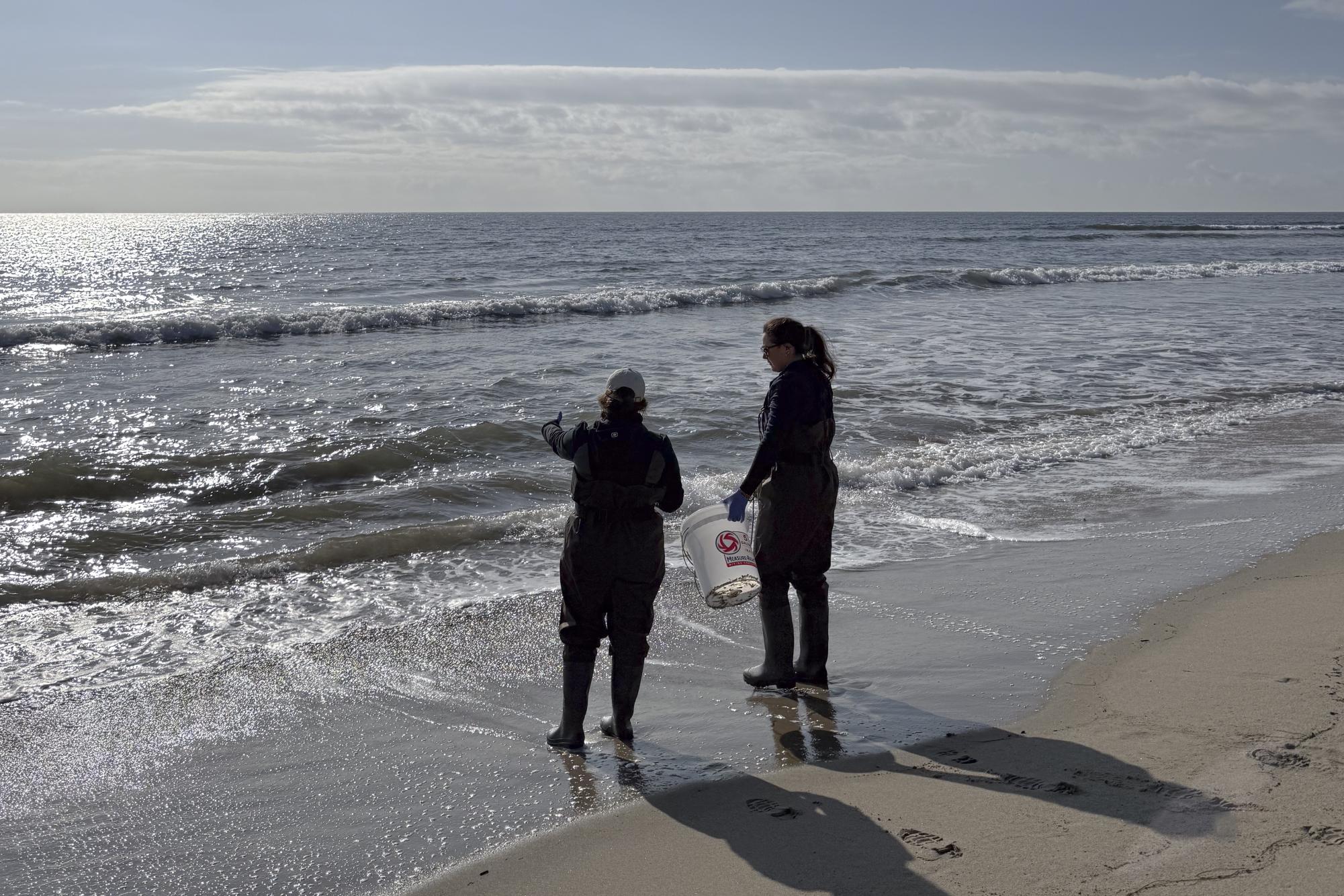 'The ocean is pretty resilient'